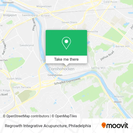 Regrowth Integrative Acupuncture map