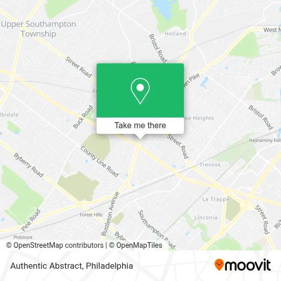 Authentic Abstract map
