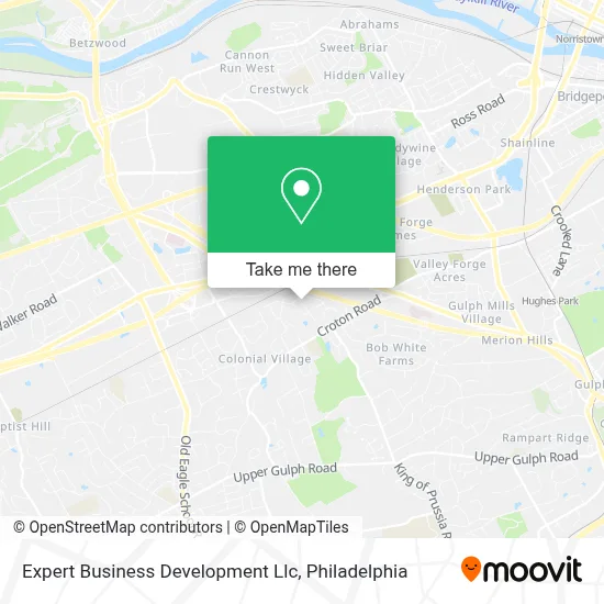 Expert Business Development Llc map
