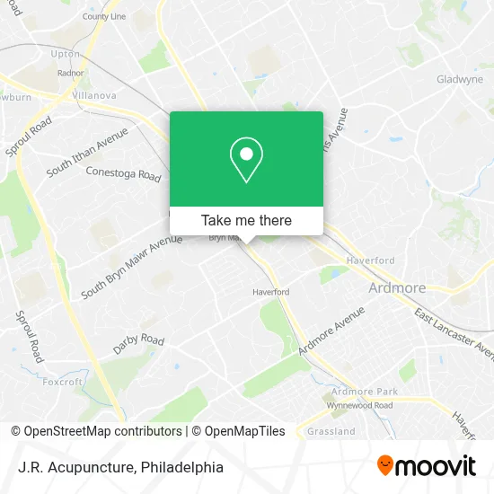 J.R. Acupuncture map