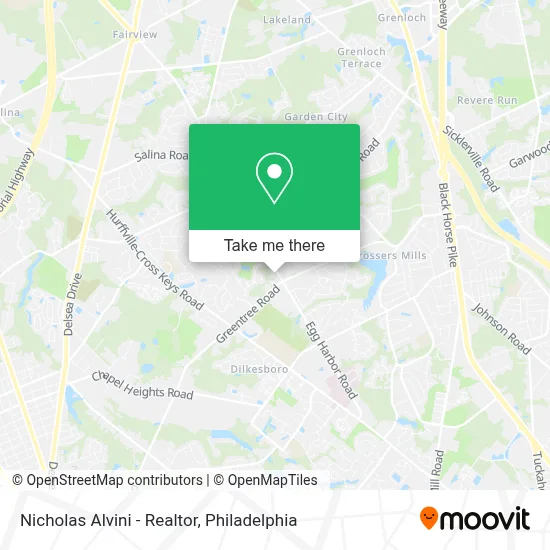 Nicholas Alvini - Realtor map