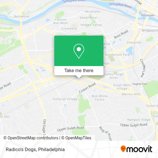 Radico's Dogs map