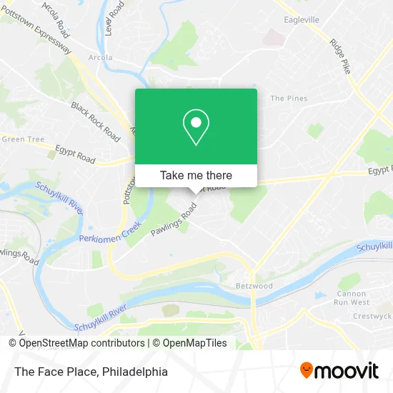 The Face Place map