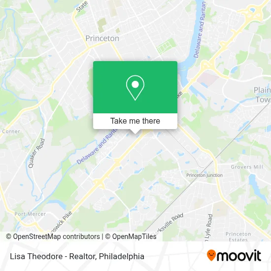 Lisa Theodore - Realtor map