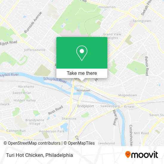 Turi Hot Chicken map