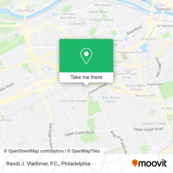 Randi J. Vladimer, P.C. map