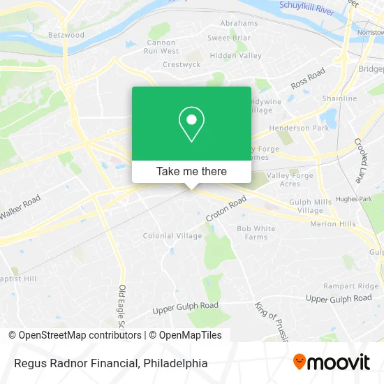 Regus Radnor Financial map