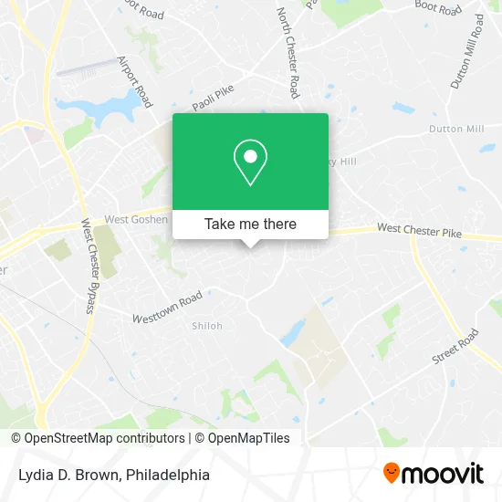 Lydia D. Brown map