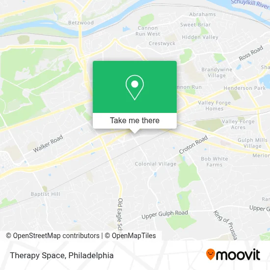 Therapy Space map
