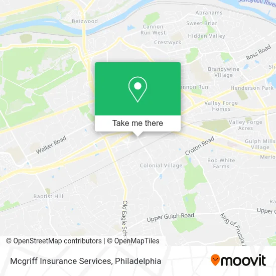 Mcgriff Insurance Services map