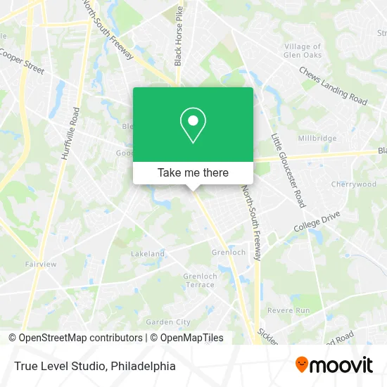 True Level Studio map