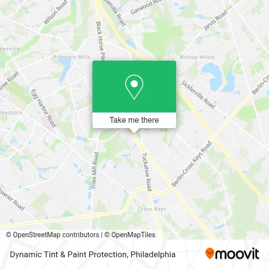 Dynamic Tint & Paint Protection map