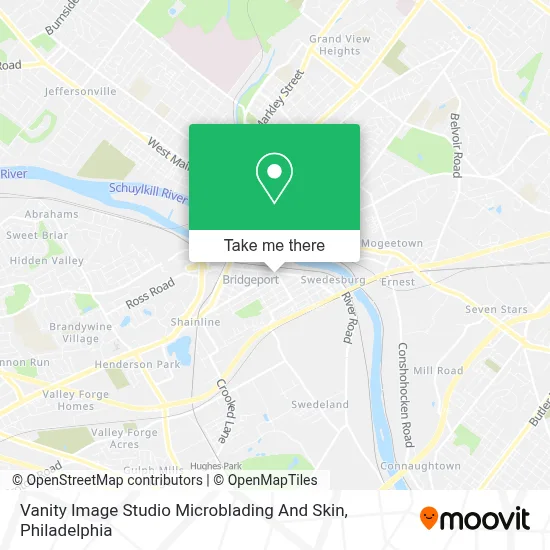 Vanity Image Studio Microblading And Skin map