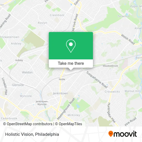 Holistic Vision map