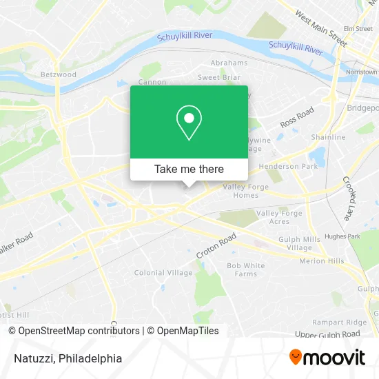 Natuzzi map
