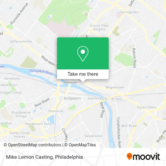 Mike Lemon Casting map