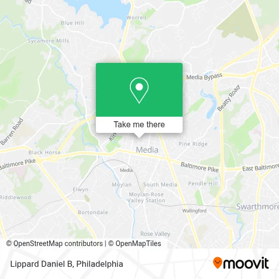 Lippard Daniel B map