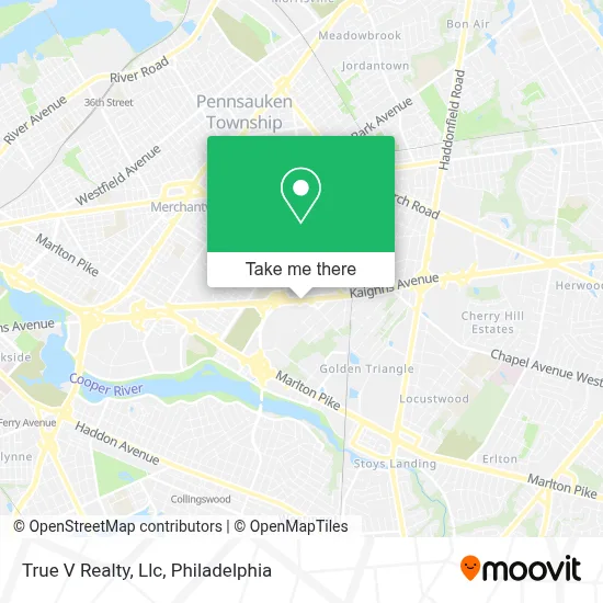 True V Realty, Llc map