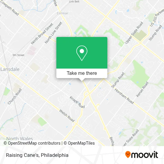 Raising Cane's map
