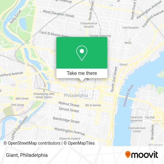 Giant map