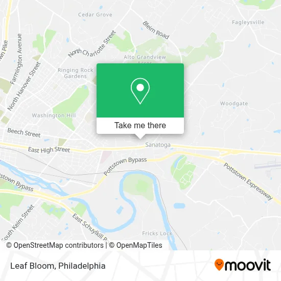 Leaf Bloom map