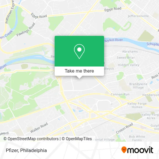 Pfizer map