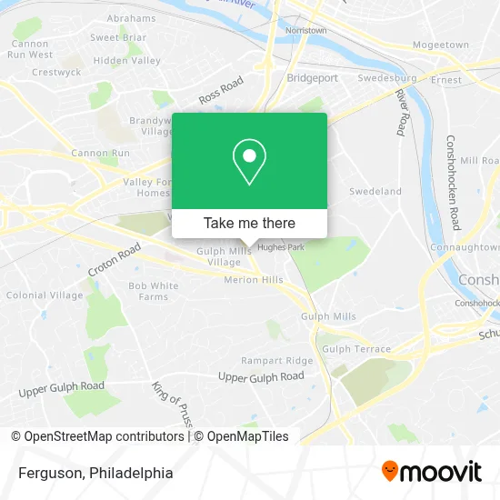 Ferguson map