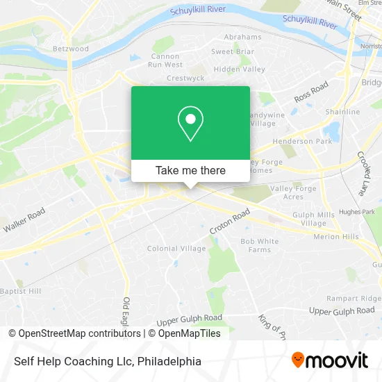 Self Help Coaching Llc map