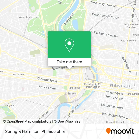 Spring & Hamilton map