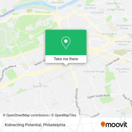 Kidnecting Potential map