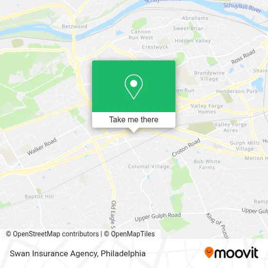 Swan Insurance Agency map