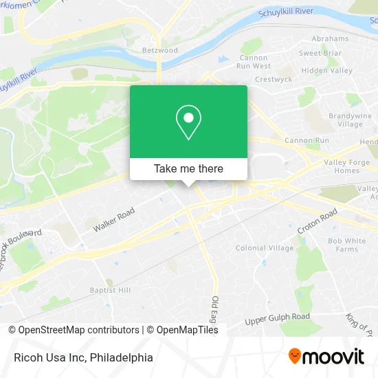 Ricoh Usa Inc map