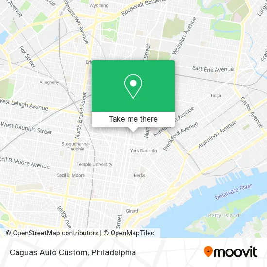 Caguas Auto Custom map