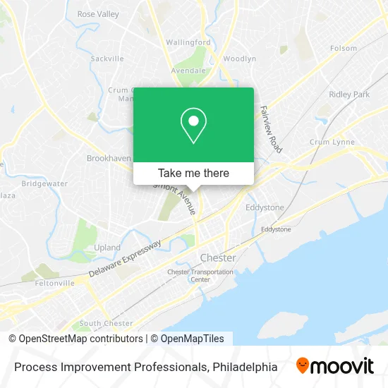 Process Improvement Professionals map