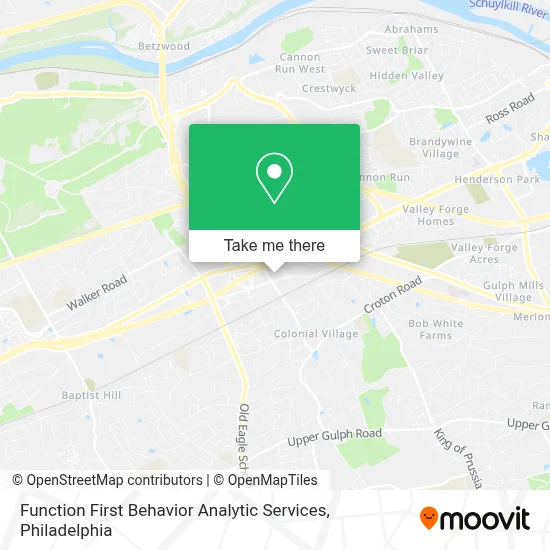 Function First Behavior Analytic Services map