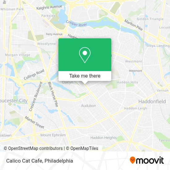 Calico Cat Cafe map