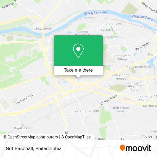 Grit Baseball map