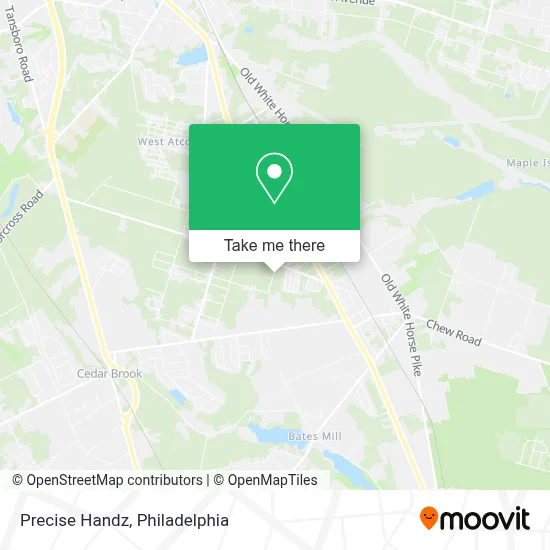Precise Handz map