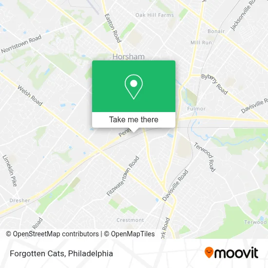 Forgotten Cats map
