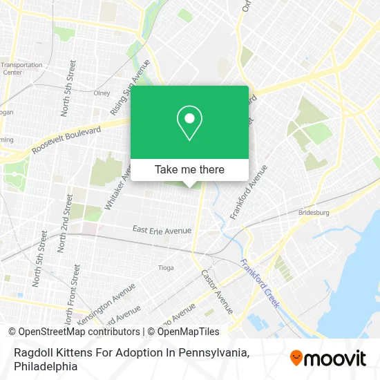 Ragdoll Kittens For Adoption In Pennsylvania map