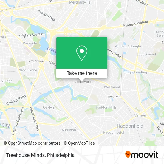 Treehouse Minds map
