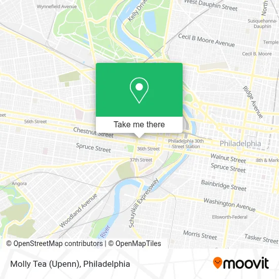 Molly Tea (Upenn) map