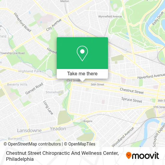 Chestnut Street Chiropractic And Wellness Center map