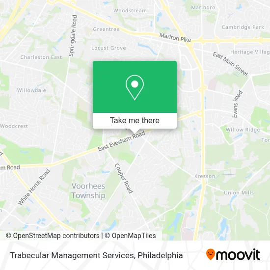 Trabecular Management Services map