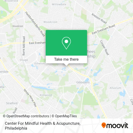 Center For Mindful Health & Acupuncture map