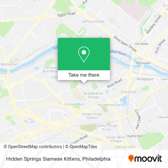 Hidden Springs Siamese Kittens map