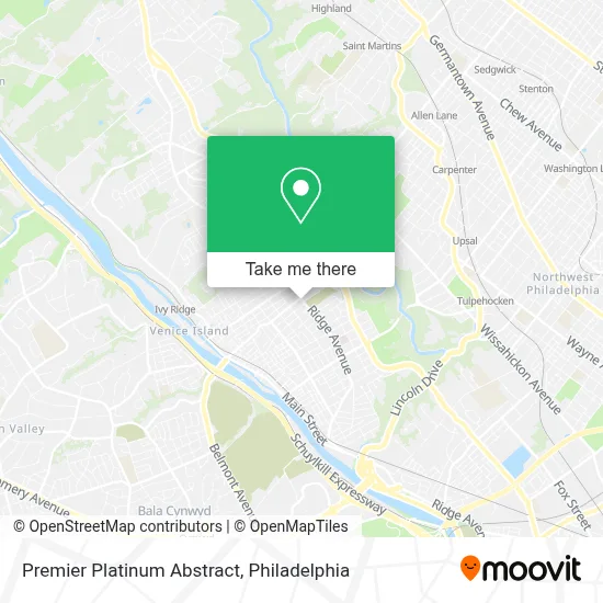 Premier Platinum Abstract map