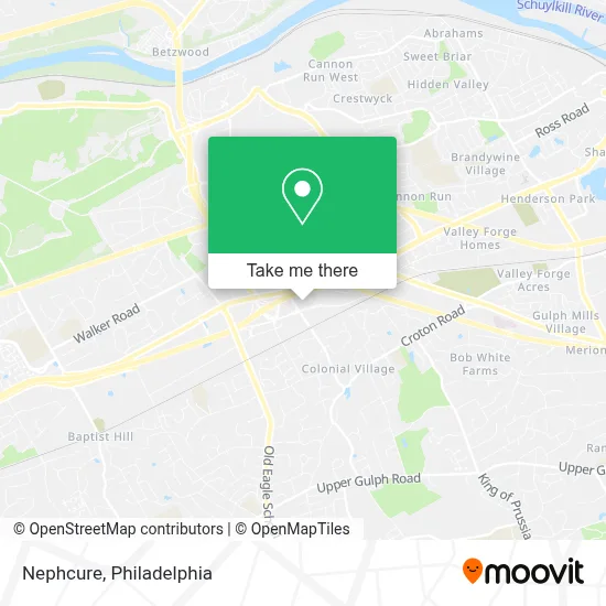 Nephcure map