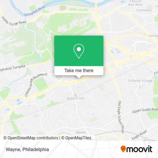 Wayne map