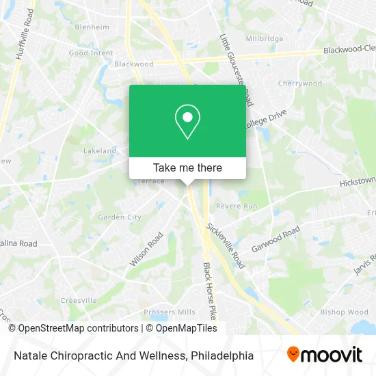 Natale Chiropractic And Wellness map